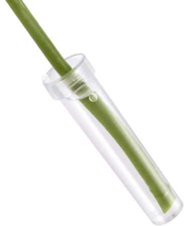 100 Pack Floral Water Tubes | Plastic Vials for Small Roses | Stem Water Tube Holder | Florist Supplies for Flower Arrangements | 10ml - Buy Online on GoSupps.com