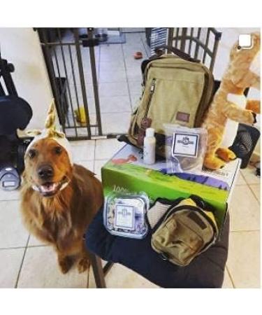 Leather dog backpack sale
