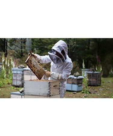  Ancient Purity Royal jelly powder 400g (freeze-dried/high potency) - Buy Online on GoSupps.com