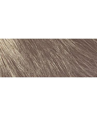 naturerbe Color Herb Extracts Bio Dyeing 14 Natural Ash Blonde - Buy Online on GoSupps.com