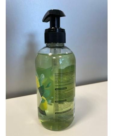  Sagrotan Sagrotan Fresh and Fruity Hand Soap - Moisturizing Liquid Soap with a Fruity Scent - 5 x 300 ml Hand Soap - Buy Online on GoSupps.com
