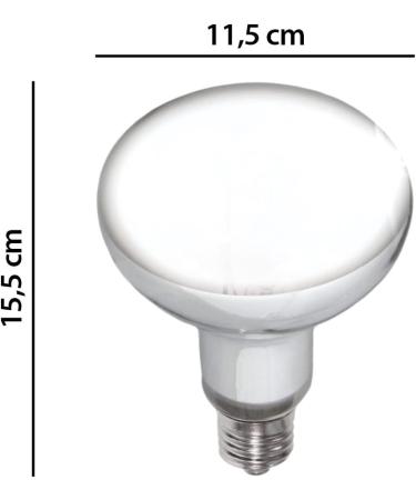 Buy Terra Exotica D3 UV Heat Spot Lamp - 125W 100W 80W - UVB UVA Sunlight Simulation for Reptiles - Buy Online on GoSupps.com