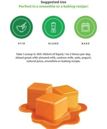 Raw Nutritional Vegan Pro Organic Plant Based Protein Powder | No Artificial Sweeteners | Non-GMO | Gluten-free | 20g Pea Protein Per Serving | 2LB (Butterscotch) Butterscotch 908.00 g (Pack of 1) - Buy Online on GoSupps.com