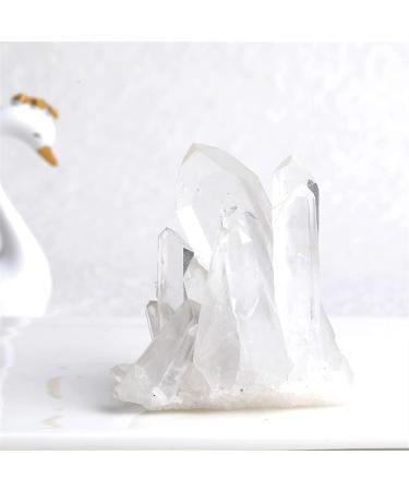 Natural Crystal Rough Home 1PC Natural White Crystal Cluster Quartz Raw Point Specimen Raw Crystals Gemstone Reiki Stone Home Decor dingchi (Color : Raw Point Size : 90-120g) 90-120g Raw Point - Buy Online on GoSupps.com