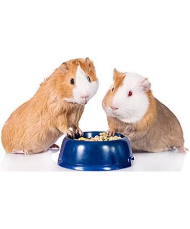 Bubimex | Rodent Food Bucket 3 kg - Buy Online on GoSupps.com