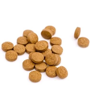 240 Ferrous Fumarate Iron Tablets 14mg - High Strength Blood Cells & Energy Supplement for Anaemia, Pregnancy, and General Health - Vegan Friendly - Buy Online on GoSupps.com