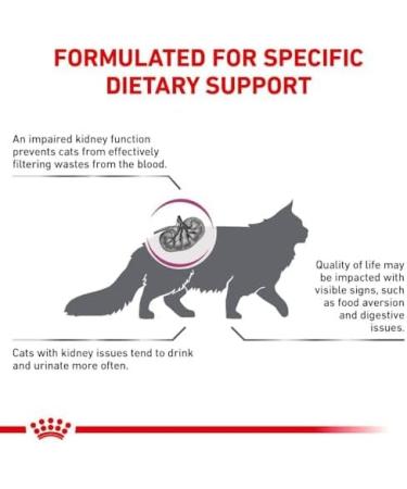 Royal Canin Veterinary Renal Special Feline | 3 Pack | 3 x 400g | Complete Diet Feed for Adult Cats | Can Help Support Kidney Functions - Buy Online on GoSupps.com