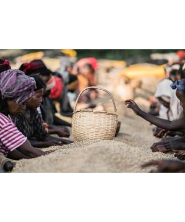 West End Coffee Roasters Ethiopia Chelchele Top Grade Single Origin Medium Roast Whole Bean (12oz/340.2g x 3) Ethiopia Chelchele - med roast 113.33 g (Pack of 3) - Buy Online on GoSupps.com