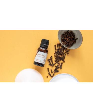 Aromatics International Premium Organic Clove Bud Essential Oil 5ml | 100% Pure Essential Oil for Diffusion Aromatherapy & Wellness Use Clove Bud 0.17 Fl Oz (Pack of 1) - Buy Online on GoSupps.com