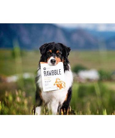 BIXBI Rawbble Freeze Dried Dog Food Turkey Recipe 26 oz - 96% Meat & Organs - No Fillers - Made in USA - Small Batch Raw Dog Food - Buy Online on GoSupps.com