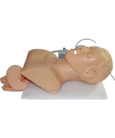 Oral Nasal Intubation Trainer | PVC Electronic Silicone Simulator for Adult Airway Management - Buy Online on GoSupps.com