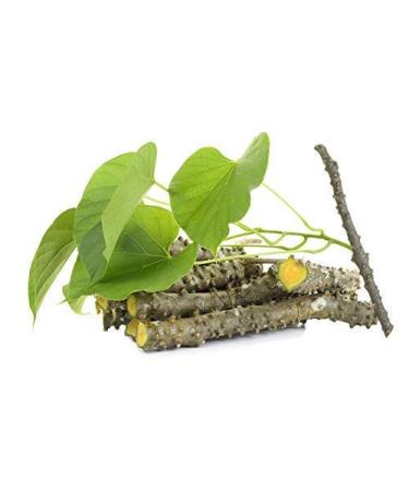 JadiButi Store Fresh Neem Giloy Sticks Set of 12 (6" Inch Long) Packing in Corrugated Box