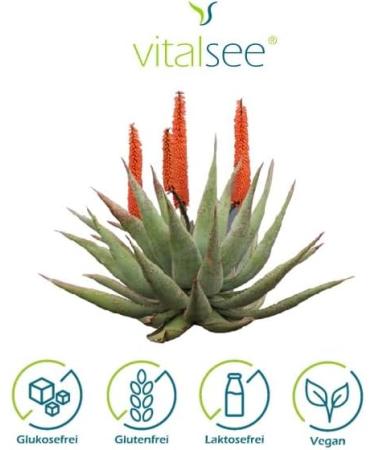 Buy Vitalsee ALOE Ferox 300 Extract - 90 Vegan Capsules for Natural Wellness | International Shipping Available - Buy Online on GoSupps.com