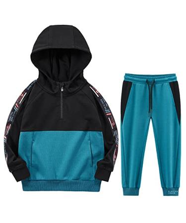 Boys' Activewear Kids Clothes Tracksuit Sets Hoodies Sweatshirt and Sweatpants 2 Piece Outfits 28 Years Bas-013 5-6 Years