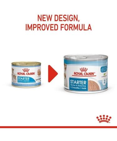 Royal Canin Mini Starter Complete Wet Food for Mother & Babydog 12 x 195g - Buy Online on GoSupps.com