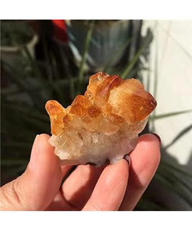 CIMWJOPS 1pc Rough raw Stone Natural Yellow Citrine Quartz Crystal Cluster for - Buy Online on GoSupps.com