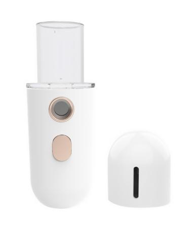 LIFKOME Vaporisateur Facial Nanom trique Hydratant Portable Appareil Vapeur pour Visage Compact Blanc Soin Peau S che et Renouvellement Cellulaire Vaporisateur Brume pour Femmes