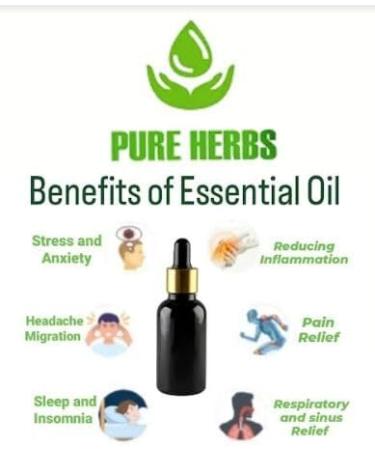 Pure Herbs White Pepper Essential Oil (Piper Nigrum) - 10 ml | Premium Quality Natural Oil for Aromatherapy & Skincare - Buy Online on GoSupps.com