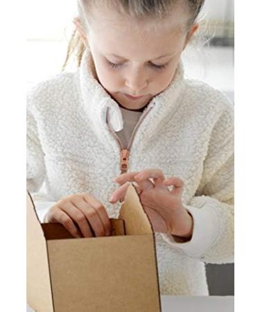 Gingerbread House Kit w/Scalloped Roof (Cardboard) - Pack of 5 - Buy Online on GoSupps.com