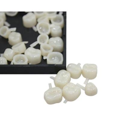 BoNew Temporary Crown Material for Molar Teeth - 50pcs - Buy Online on GoSupps.com