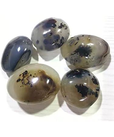1pc raw Natural Crystals Moss Agate Palm Stone for Home Decoration - Buy Online on GoSupps.com