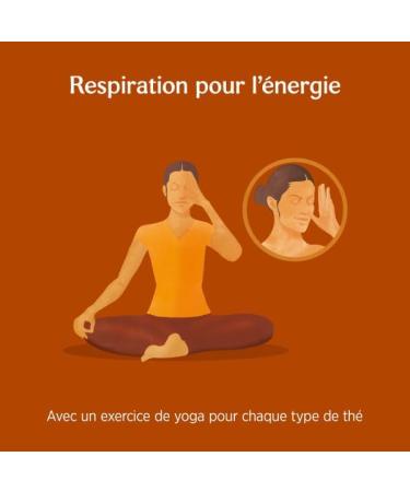  Yogi Tea Yogi Tea Organic Vanilla Ginger 17 Bags - Buy Online on GoSupps.com