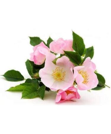 Musky Rose of Chile Organic Virgin Vegetable Oil Glass Bottle Cold Press 50 ml - Buy Online on GoSupps.com