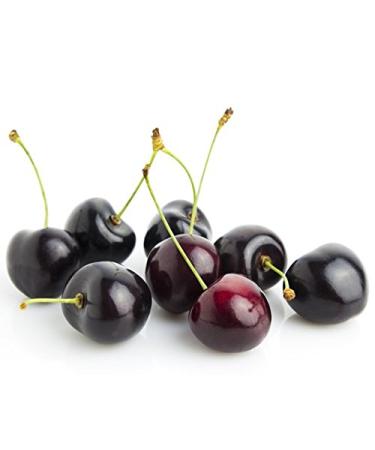 Zion Health Bold ClayDry Deodorant - Black Cherry 2.8 oz | Natural & Aluminum-Free - Buy Online on GoSupps.com