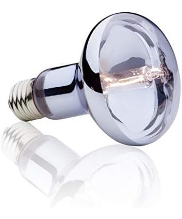 Exo Terra Halogen Basking Spot Bulb 100 W - Buy Online on GoSupps.com