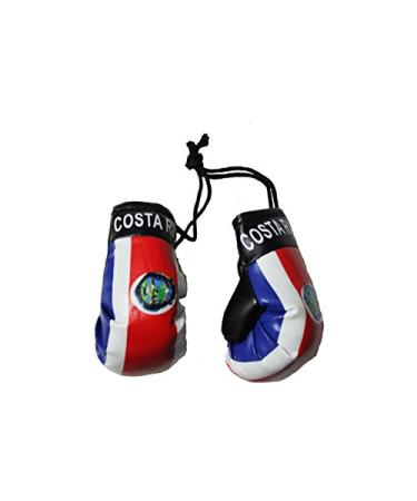 SUPERDAVES SUPERSTORE Costa RICA Country Flag Mini Boxing Gloves..New