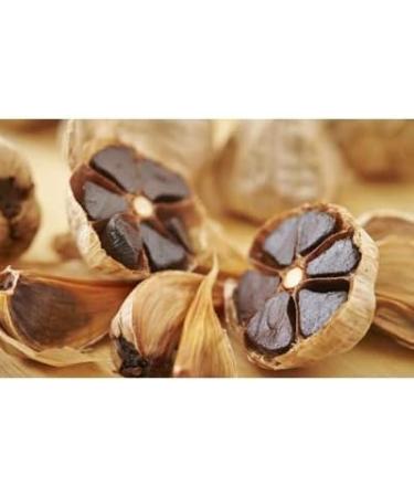 9x Fermented Black Garlic Powder (100g) Regulate insulin balance in body manage sugar level with Vitamin B6 and Vitamin C - Buy Online on GoSupps.com