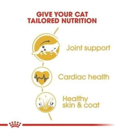 Royal Canin Maine Coon Adult Dry Cat Food 400g - Buy Online on GoSupps.com