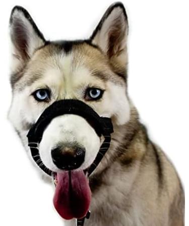 Champion Anti-Pull Training Halter for Dogs - Padded 6 Black | Comfortable & Effective International Shipping - Buy Online on GoSupps.com