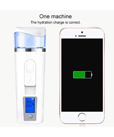 YSH Beauty Nano Beauty Facial Sprayer Moisturizing Face Steaming Device Capacity: 30ml (Pink) (Color : White) - Buy Online on GoSupps.com