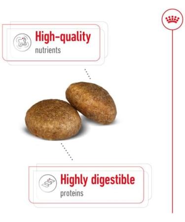 Royal Canin Maxi Dry Adult Dog Food 3kg - Buy Online on GoSupps.com