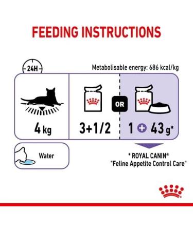 Royal Canin Appetite Control Care Adult Wet Cat Food in Gravy Adult Wet Cat Food 85g (Pack of 48) Meat 48 count (Pack of 1) - Buy Online on GoSupps.com