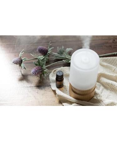 Buy Apple Cinnamon Essential Oil - 100% Pure Aromatherapy - Nature's Note Organics - 0.3 Fl Oz - International Shipping Available - Buy Online on GoSupps.com