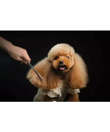 Dog Grooming Scissors Pet Grooming Scissors Thinning Straight Shears Great for Groomers and Home Grooming - Buy Online on GoSupps.com