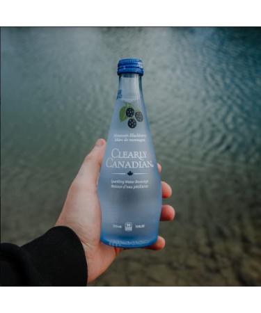 Clearly Canadian Variety Pack: Natural Spring Water Mixed Flavors - 12 Bottles x 325mL - Buy Online on GoSupps.com