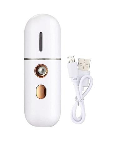 tesrgre Portable Steamer Mini USB Humidifier Nano Sprayer Handy Face Steamer Mist Machine