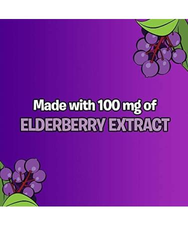 Flintstones Kids Elderberry Gummies | Immunity Support with Vitamin C & Zinc | Gluten-Free Dietary Supplement | 60 Count - Buy Online on GoSupps.com