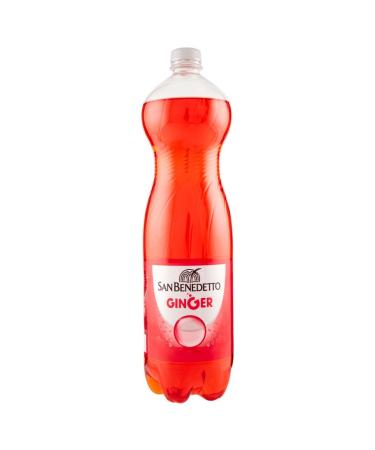 SAN BENEDETTO GINGER PET LT. 1.5 X 6