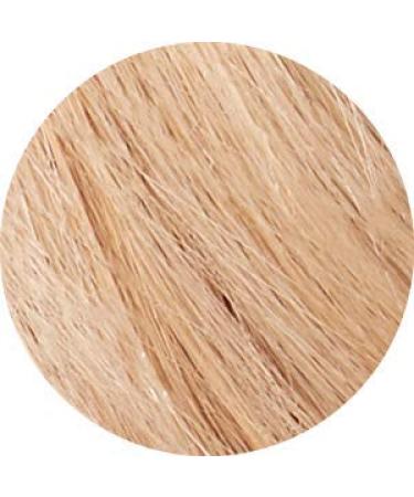 10XL Extra Light Blonde Tints of Nature Permanent Hair Dye - Nourishing & Grey Coverage, 130ml - Buy Online on GoSupps.com