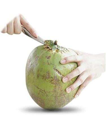 Stord Coconut Opener - Open Fresh, Young White Coconuts in Seconds - Buy Online on GoSupps.com
