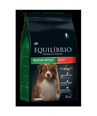 Balance Dog Adult Medium 2kg