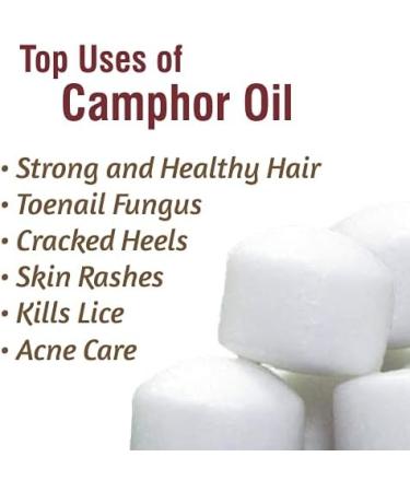 Camphor Oil (Cinnamonutn camphora) 100% Natural Pure Undiluted Uncut Carrier Oil 15ml with Dropper Camphor 15ml with dropper - Buy Online on GoSupps.com