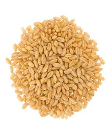Non-GMO Project Verified Wheat Variety Pack | 9 LBS | Non-Irradiated | Certified Kosher Parve | Field Traced | Cotton Bag | 3 lbs x 3 - Buy Online on GoSupps.com