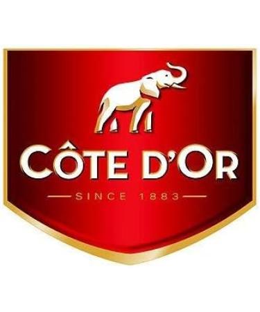 C te d Or Noir p te tartiner - Buy Online on GoSupps.com