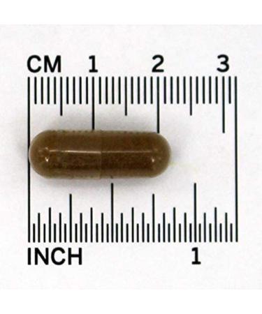 Now Foods Valerian Root 500 mg - 100 Veg Capsules for Relaxation & Sleep - Buy Online on GoSupps.com