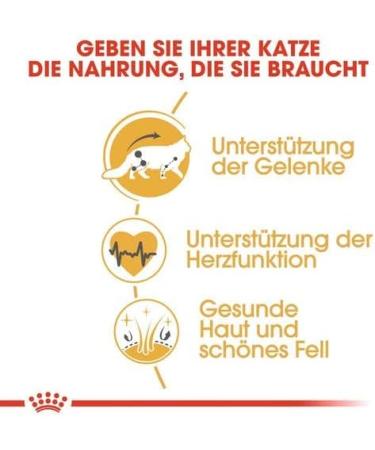 Royal Canin Maine Coon Complete Adult Dry Cat Food 3 x 400g - Buy Online on GoSupps.com